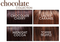 Chocolate Collection Colors