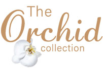 The Orchid Collection Wigs